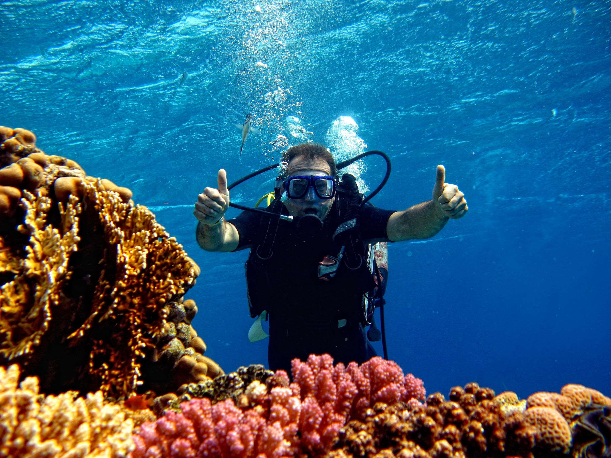 A driver showing a double thumbs-up sign in the sea