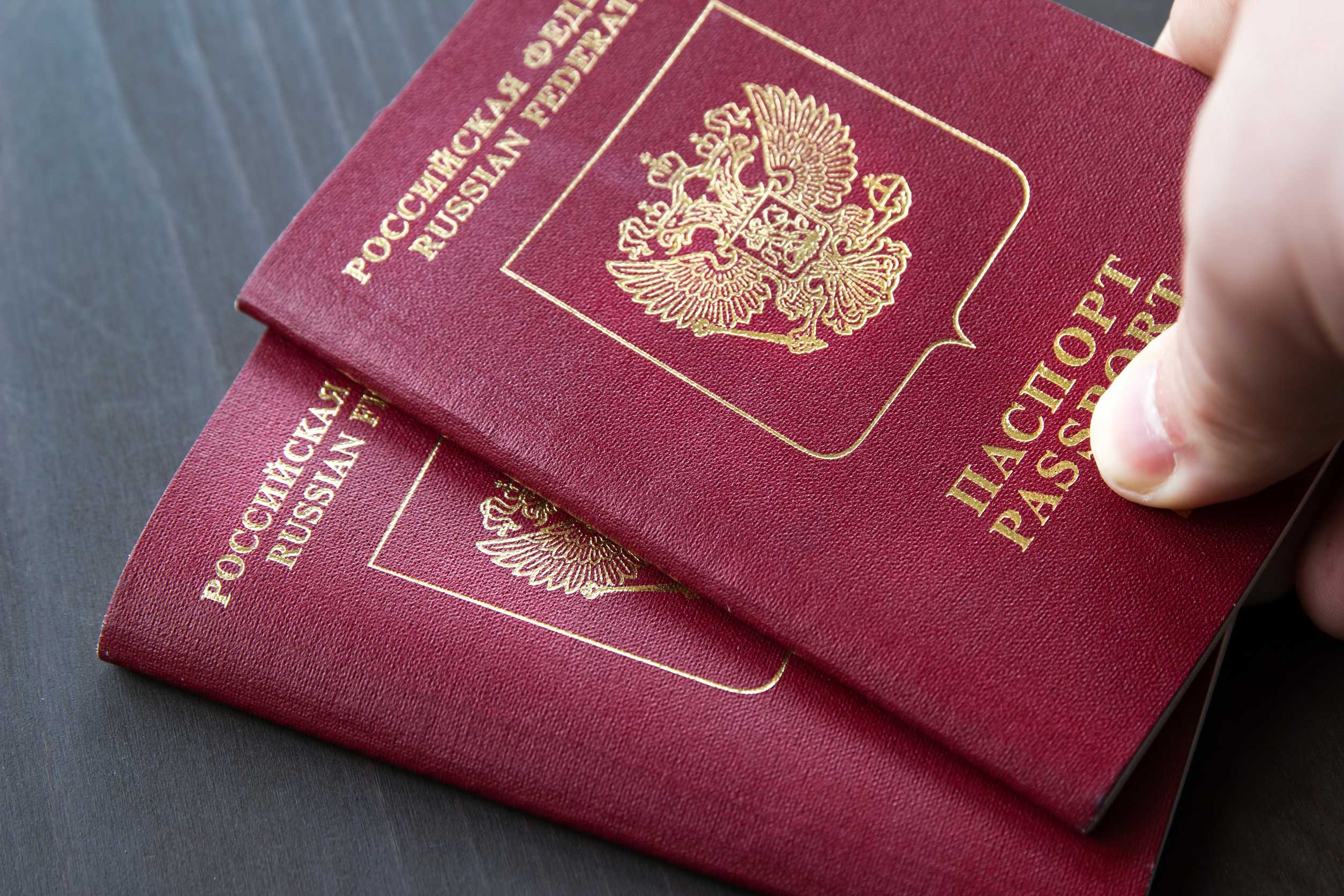 Male hand holding two red passports on grey wood background